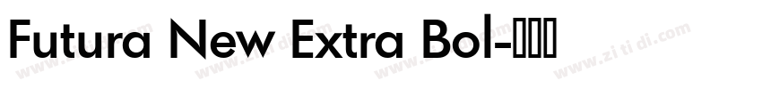 Futura New Extra Bol字体转换